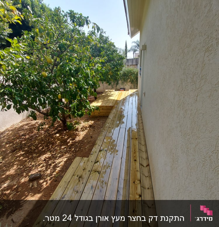 דק עץ ליד קיר בית עם עצי פרי